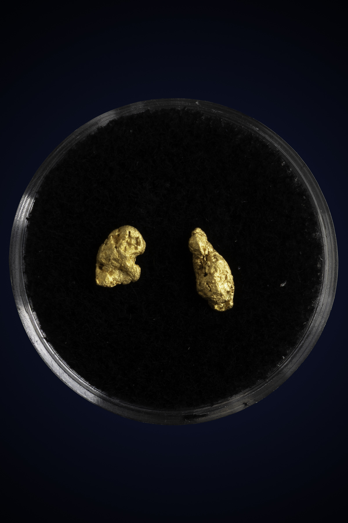 (image for) Curved, Stunning Natural Gold Nuggets - Arizona - 0.82 grams